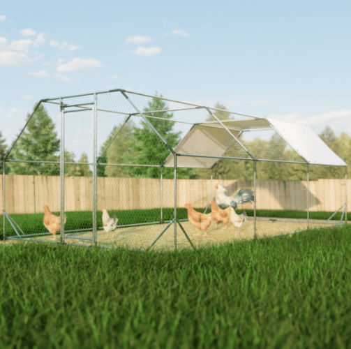 10x20 Foot Flat Top Chicken Coop
